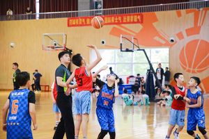小学生篮球基本功训练表演